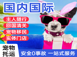 张家口宁远国际宠物托运 【国